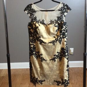 14 Decode 1.8 Elegant Black and Gold Lace Dress